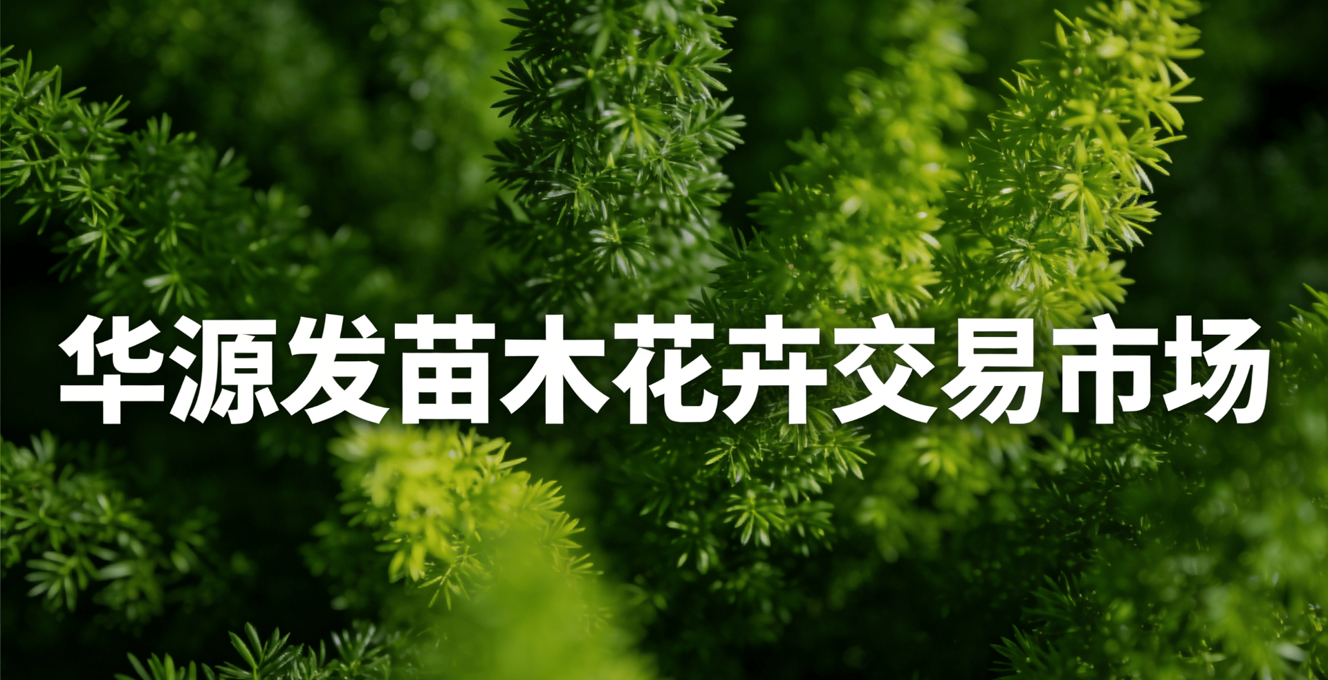 生机盎然园艺